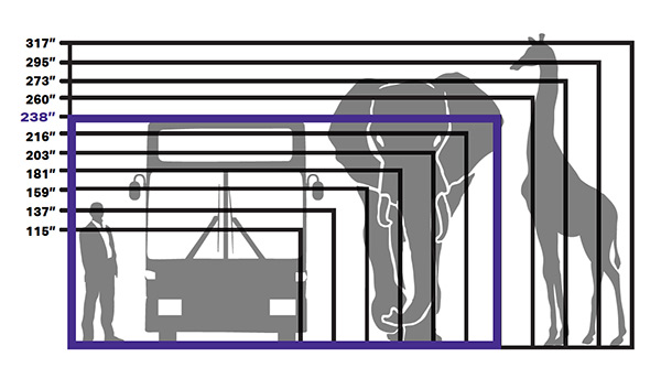 GoVisionTV Sizes