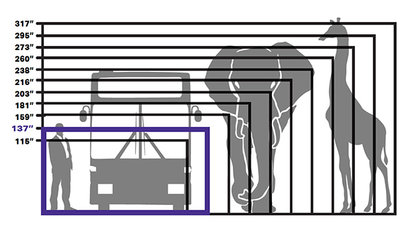 GoVisionTV Sizes