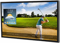 65-inch Peerless-AV Xtreme High Bright Outdoor Display