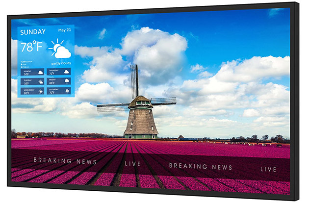 65-inch Peerless-AV Xtreme High Bright Outdoor Display