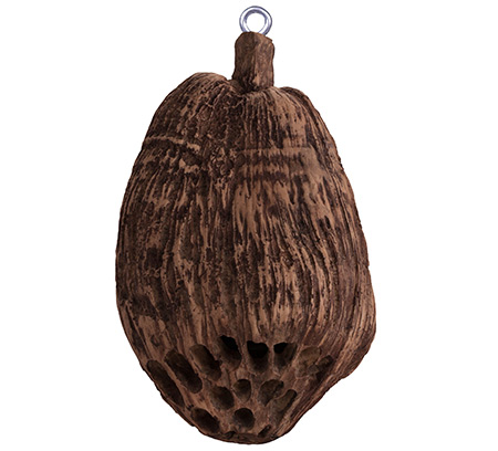 Rockustics Coconutz Speaker